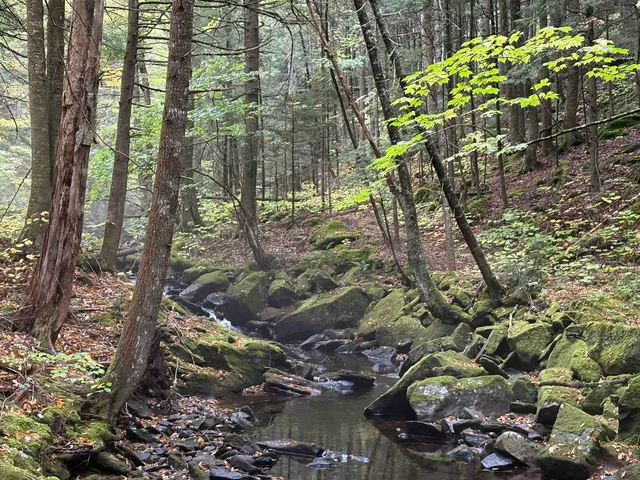 $119,800 | 25 New Hampshire Route, Warren, NH 03279