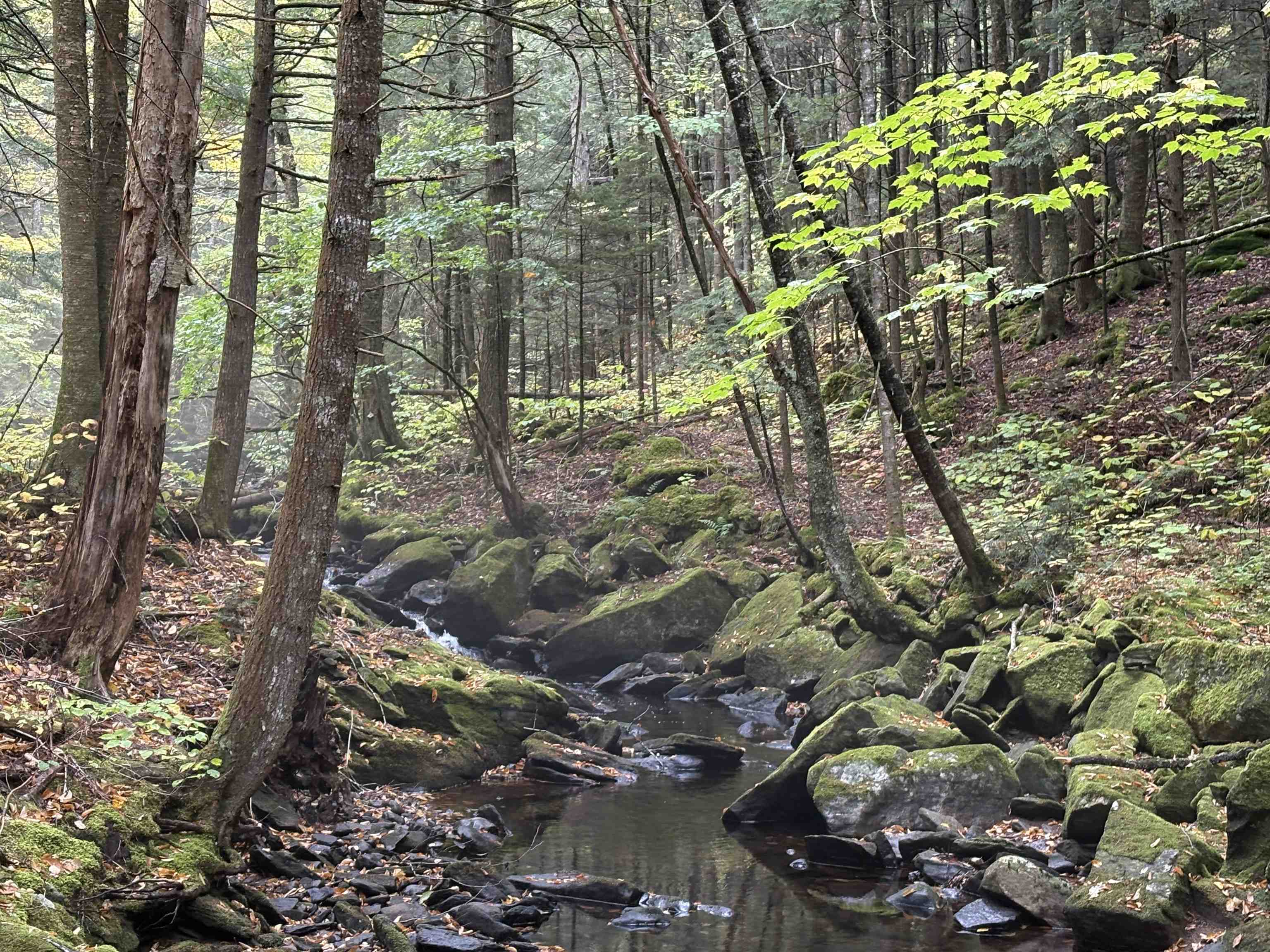 25 New Hampshire Route Warren, NH 03279 - Photo 3 of 6