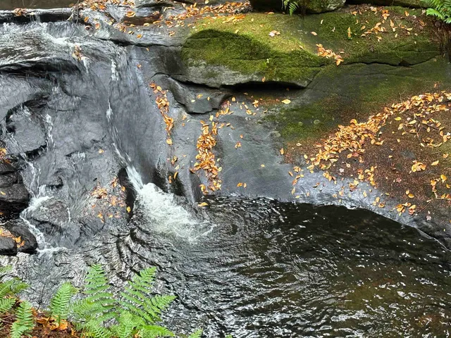 $119,800 | 25 New Hampshire Route, Warren, NH 03279