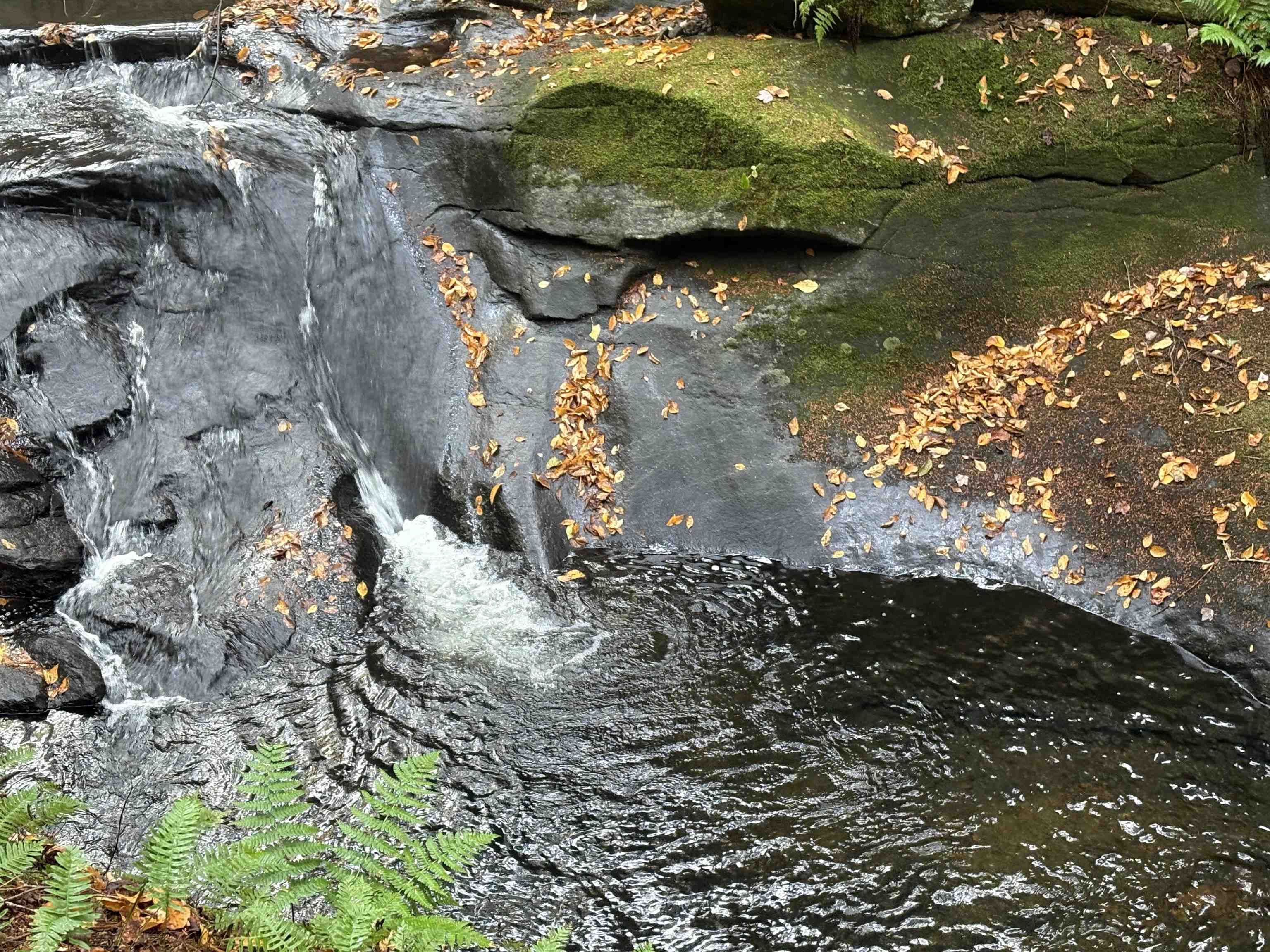 25 New Hampshire Route Warren, NH 03279 - Photo 5 of 6