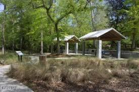 0 Blue Springs Road Youngstown, FL 32466 - Photo 13 of 20 Gallery Image 13