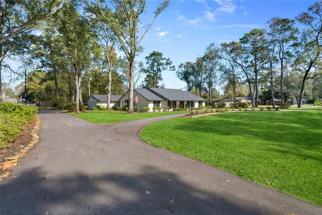 a view of a park with large trees