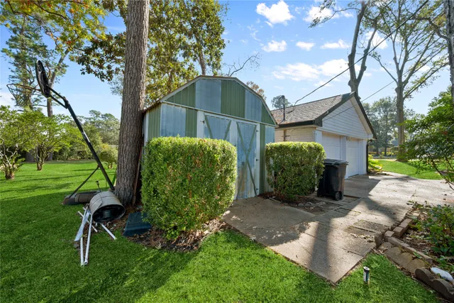 a view of a backyard with a tree