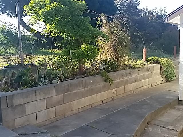 14676 Meridian Road Castroville, CA 95012 - Photo 8 of 29 Gallery Image 8
