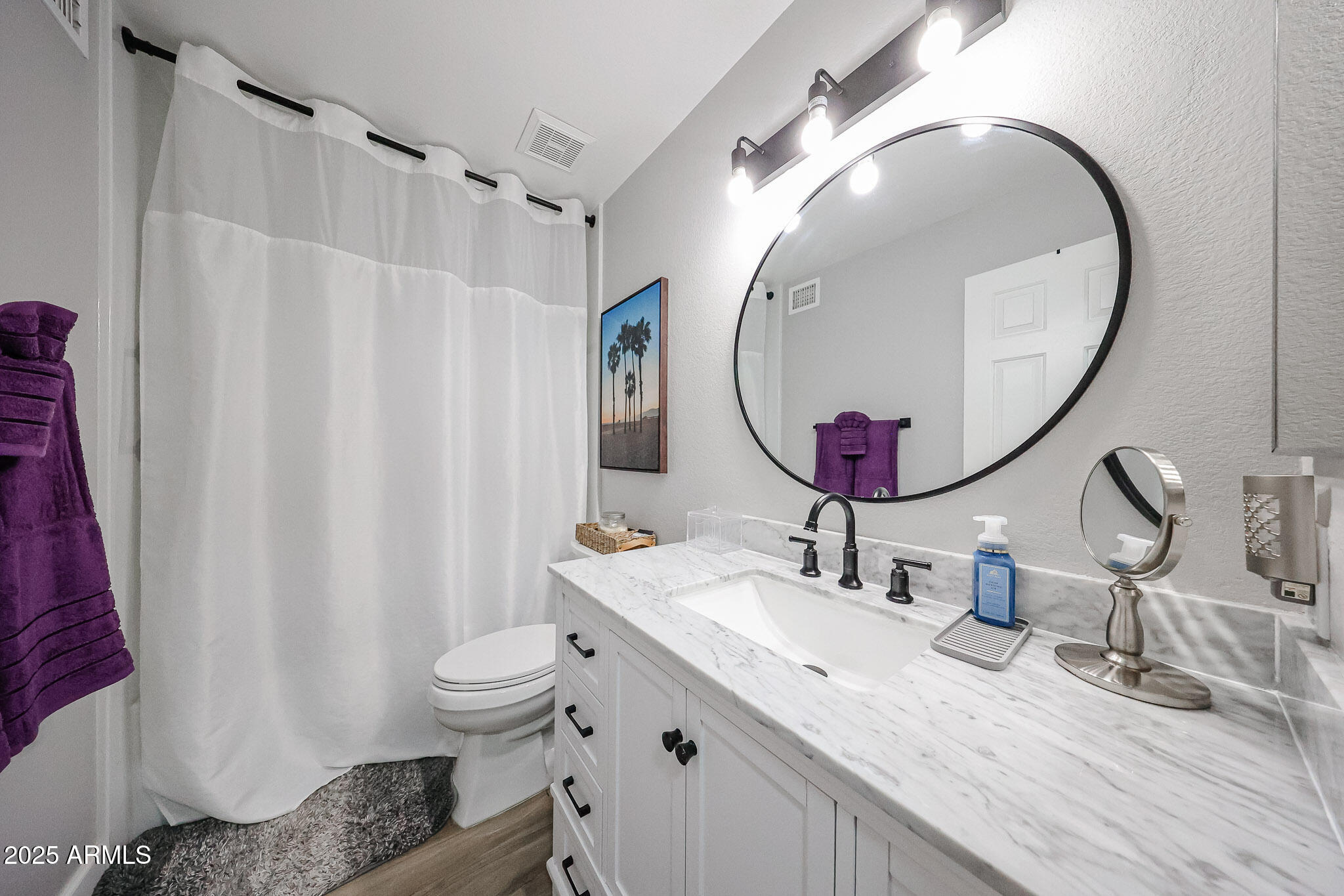 3902 East Rosemonte Drive Phoenix, AZ 85050 - Photo 27 of 46 a bathroom with a sink mirror and toilet