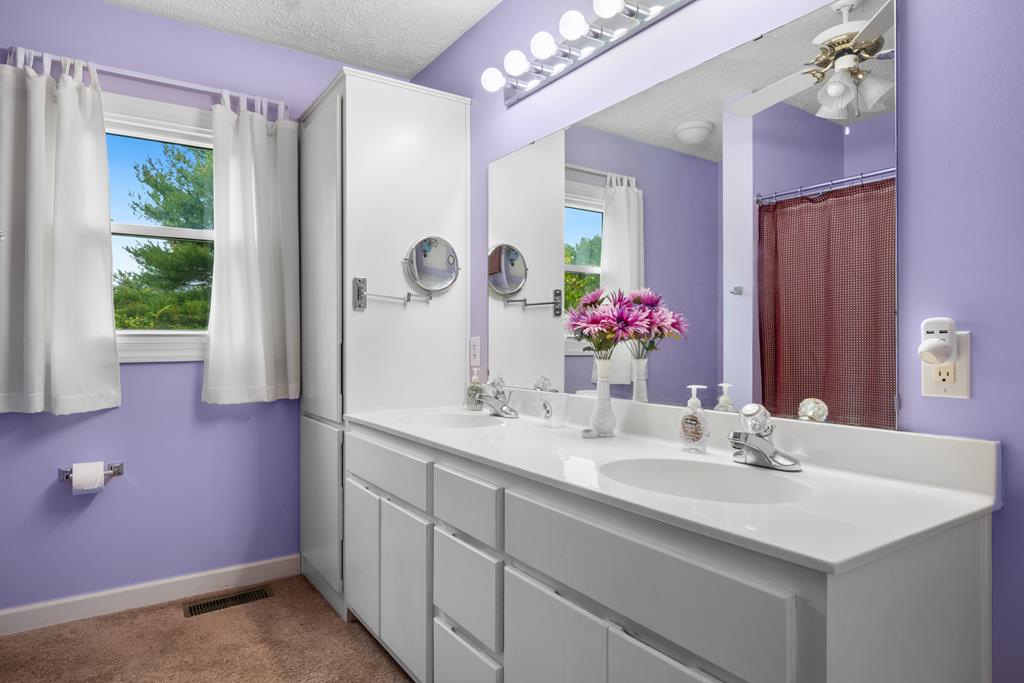 170 Holly Ridge Drive Cana, VA 24317 - Photo 20 of 68 Gallery Image 20