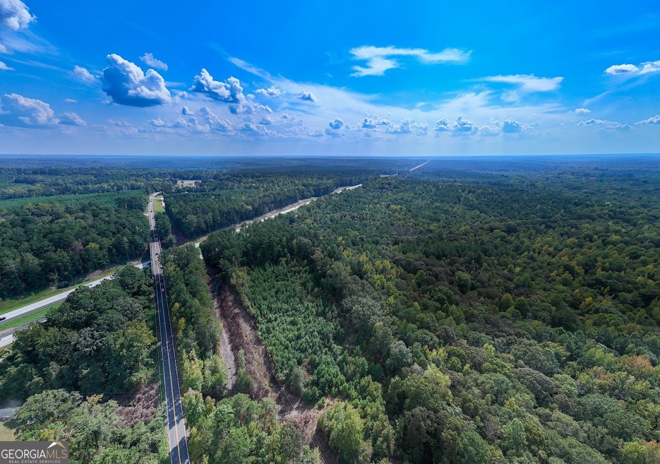 93.49-acres Forrest Road Grantville, GA 30220 - Photo 6 of 25