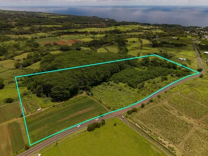 $1,375,000 | Akaka Falls Road, Honomu, HI 96728
