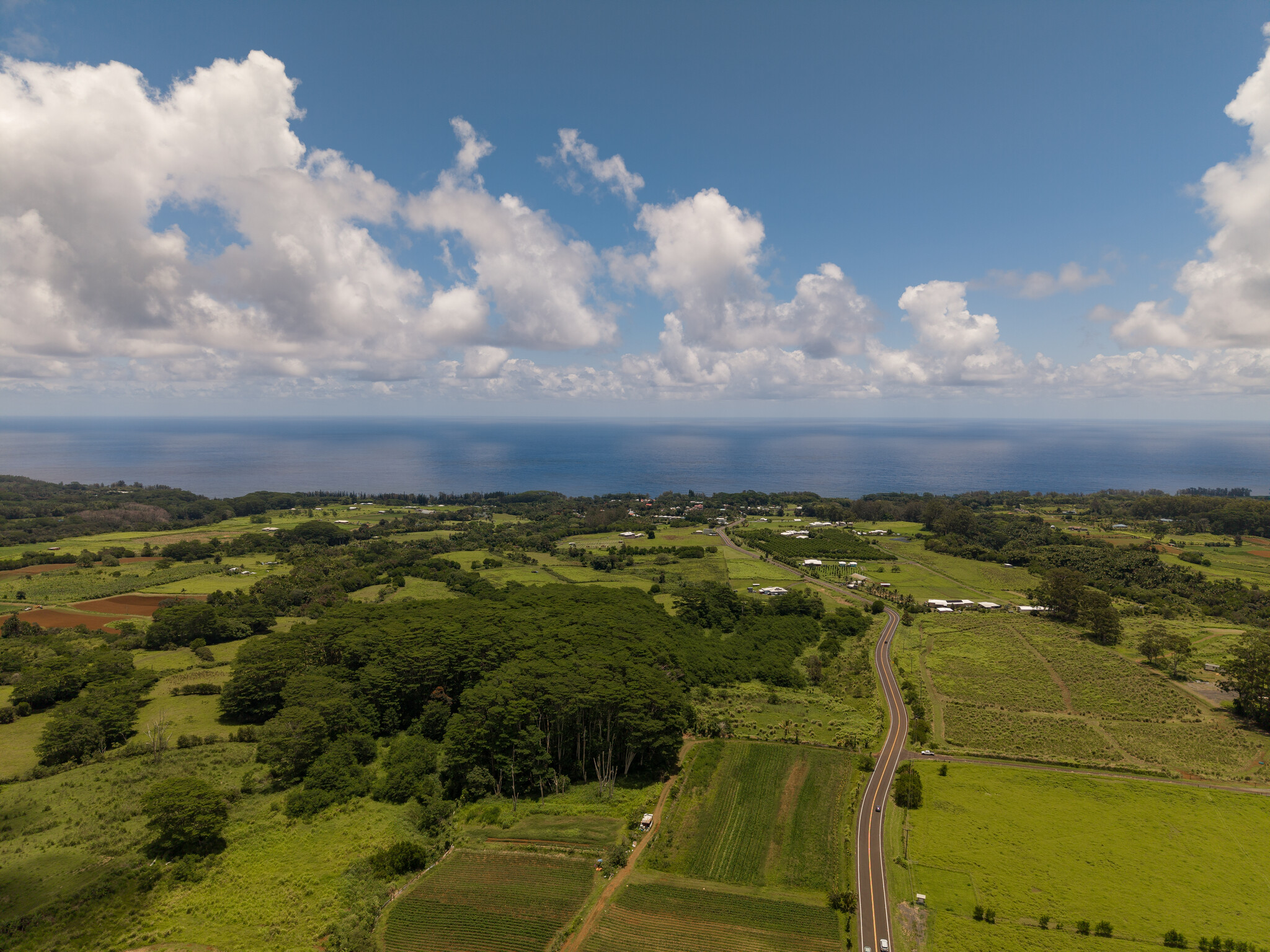 Akaka Falls Road Honomu, HI 96728 - Photo 11 of 17