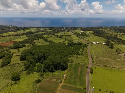 $1,375,000 | Akaka Falls Road, Honomu, HI 96728