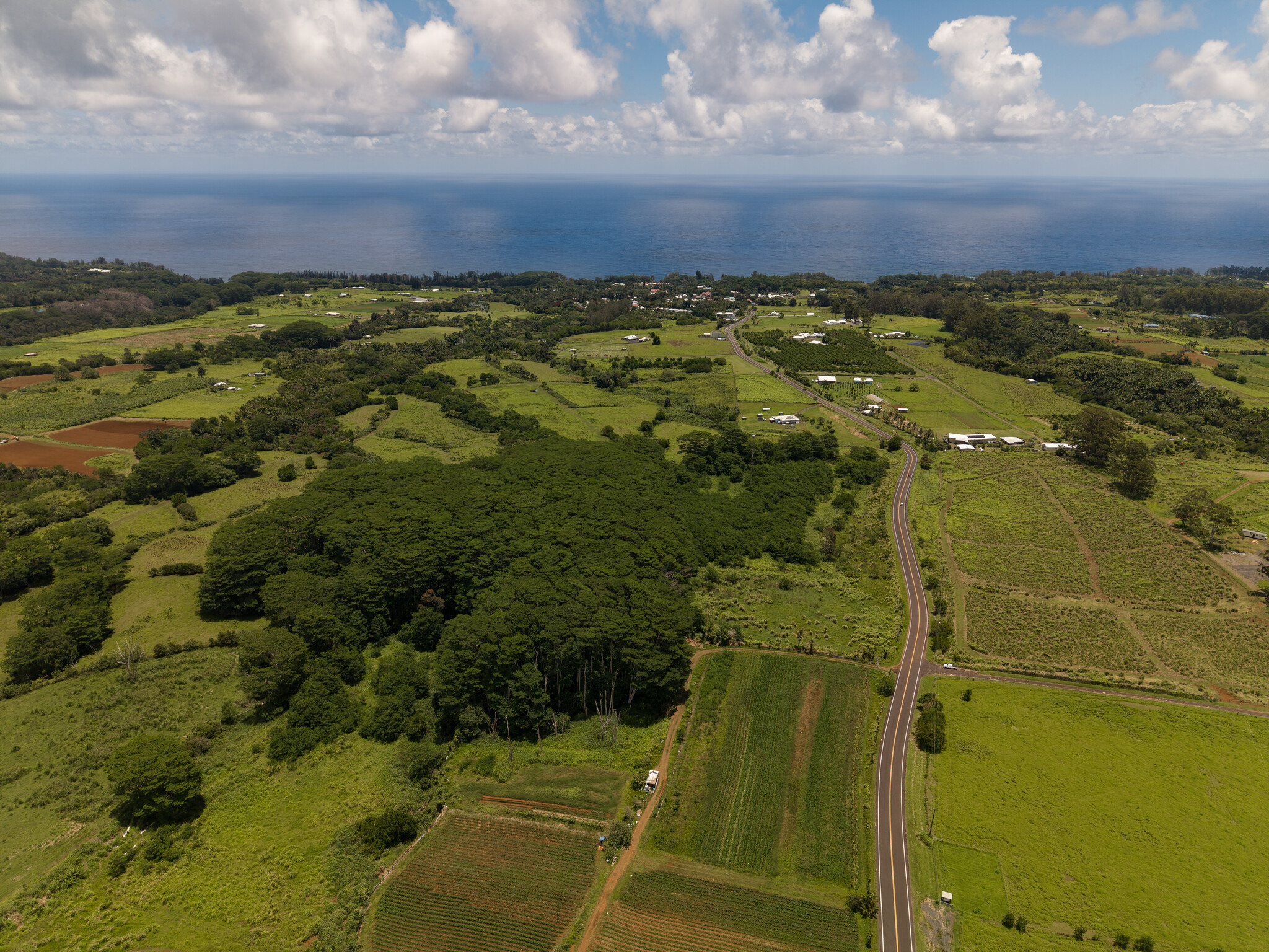 Akaka Falls Road Honomu, HI 96728 - Photo 12 of 17