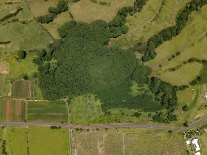 $1,375,000 | Akaka Falls Road, Honomu, HI 96728