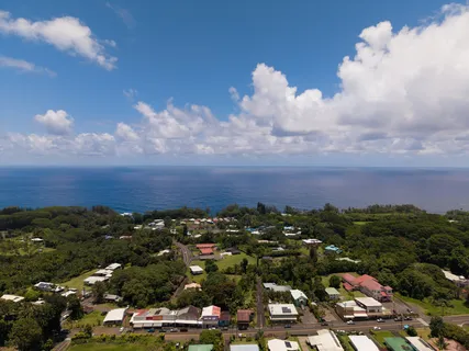 $1,375,000 | Akaka Falls Road, Honomu, HI 96728