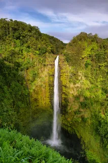 $1,375,000 | Akaka Falls Road, Honomu, HI 96728
