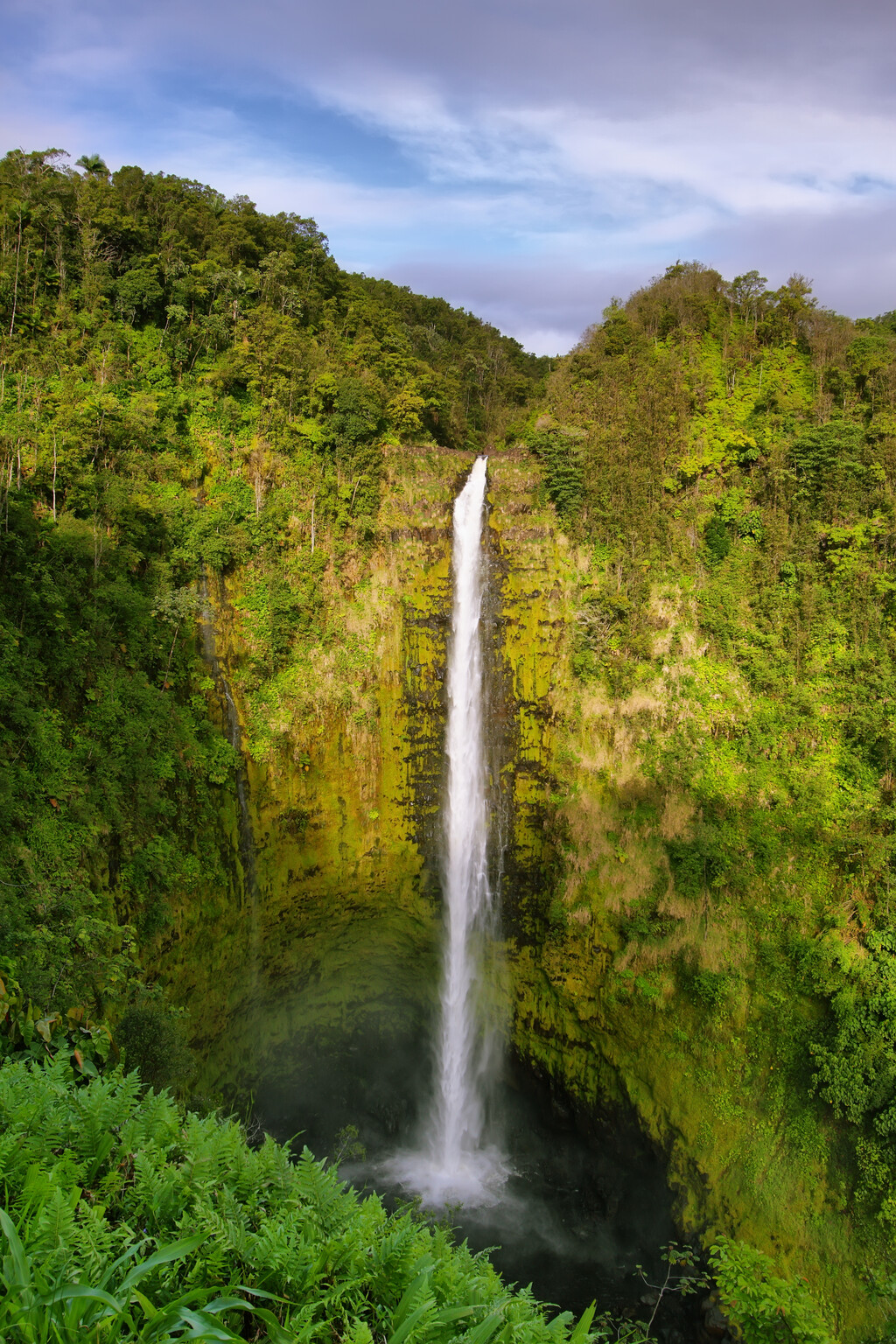 Akaka Falls Road Honomu, HI 96728 - Photo 17 of 17