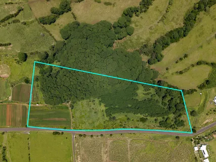 $1,375,000 | Akaka Falls Road, Honomu, HI 96728