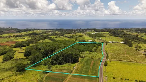 $1,375,000 | Akaka Falls Road, Honomu, HI 96728