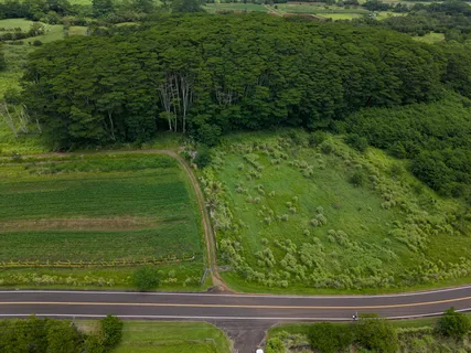 $1,375,000 | Akaka Falls Road, Honomu, HI 96728