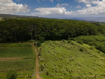 $1,375,000 | Akaka Falls Road, Honomu, HI 96728