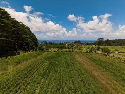 $1,375,000 | Akaka Falls Road, Honomu, HI 96728