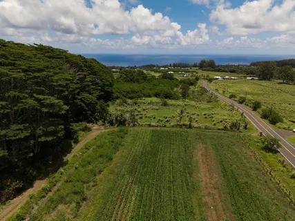 $1,375,000 | Akaka Falls Road, Honomu, HI 96728