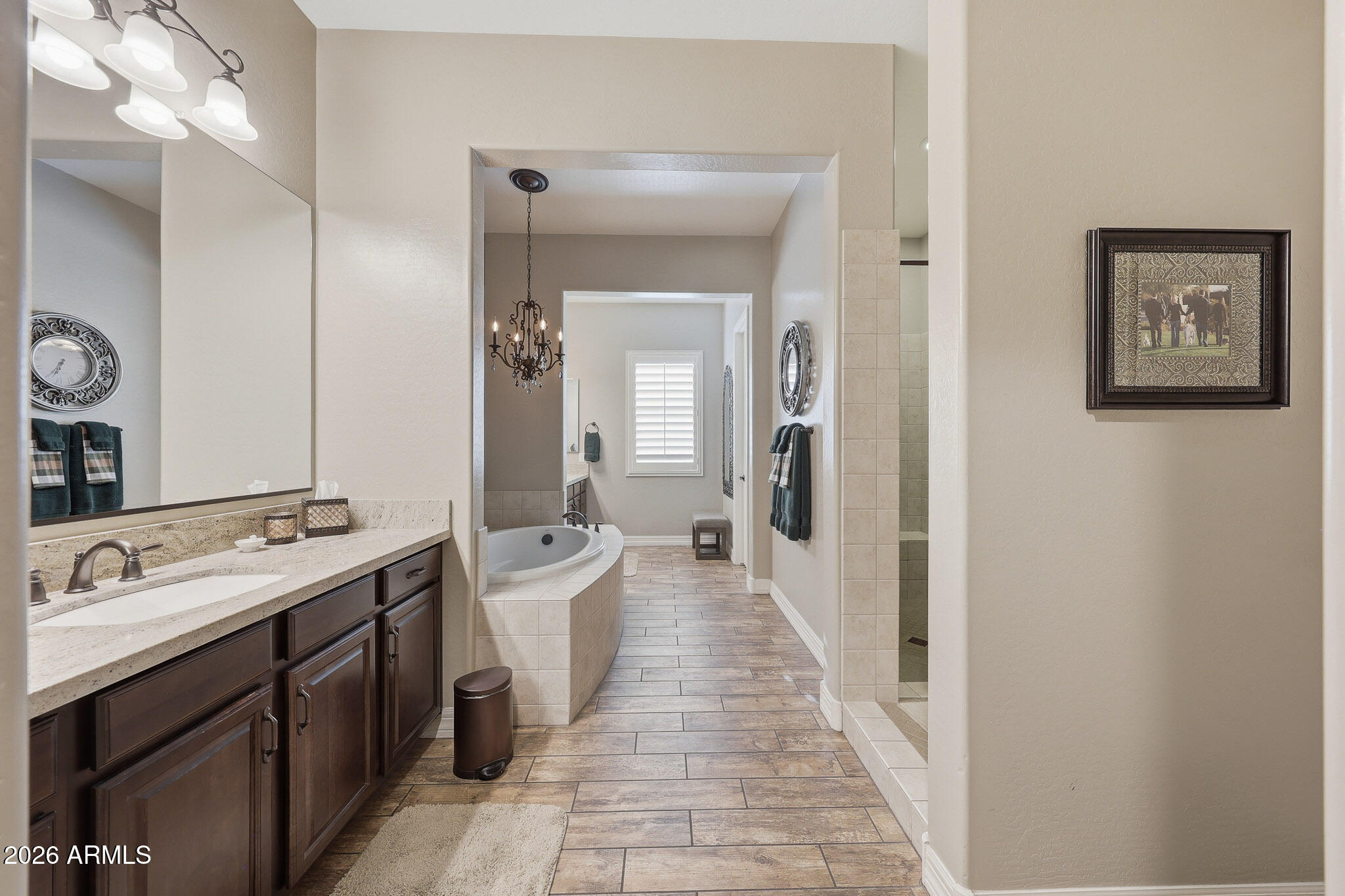 19277 Walnut Road Queen Creek, AZ 85142 - Photo 15 of 50 Primary Bath