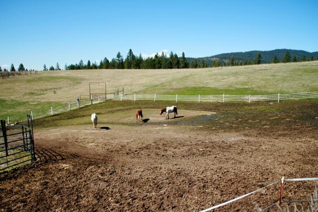 16105 East Bill Gulch Road Mead, WA 99021 - Photo 18 of 20