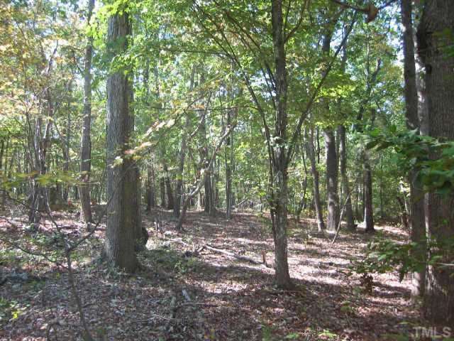 Chatham Church Road Moncure, NC 27559 - Photo 1 of 9 Land/Lot
