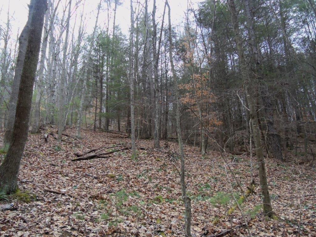 Tbd Lick Ridge Road Northeast Check, VA 24072 - Photo 14 of 14 Gallery Image 14