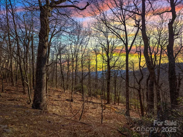 $40,000 | 0 Morning Ride Drive, Unit 36, Columbus, NC 28722