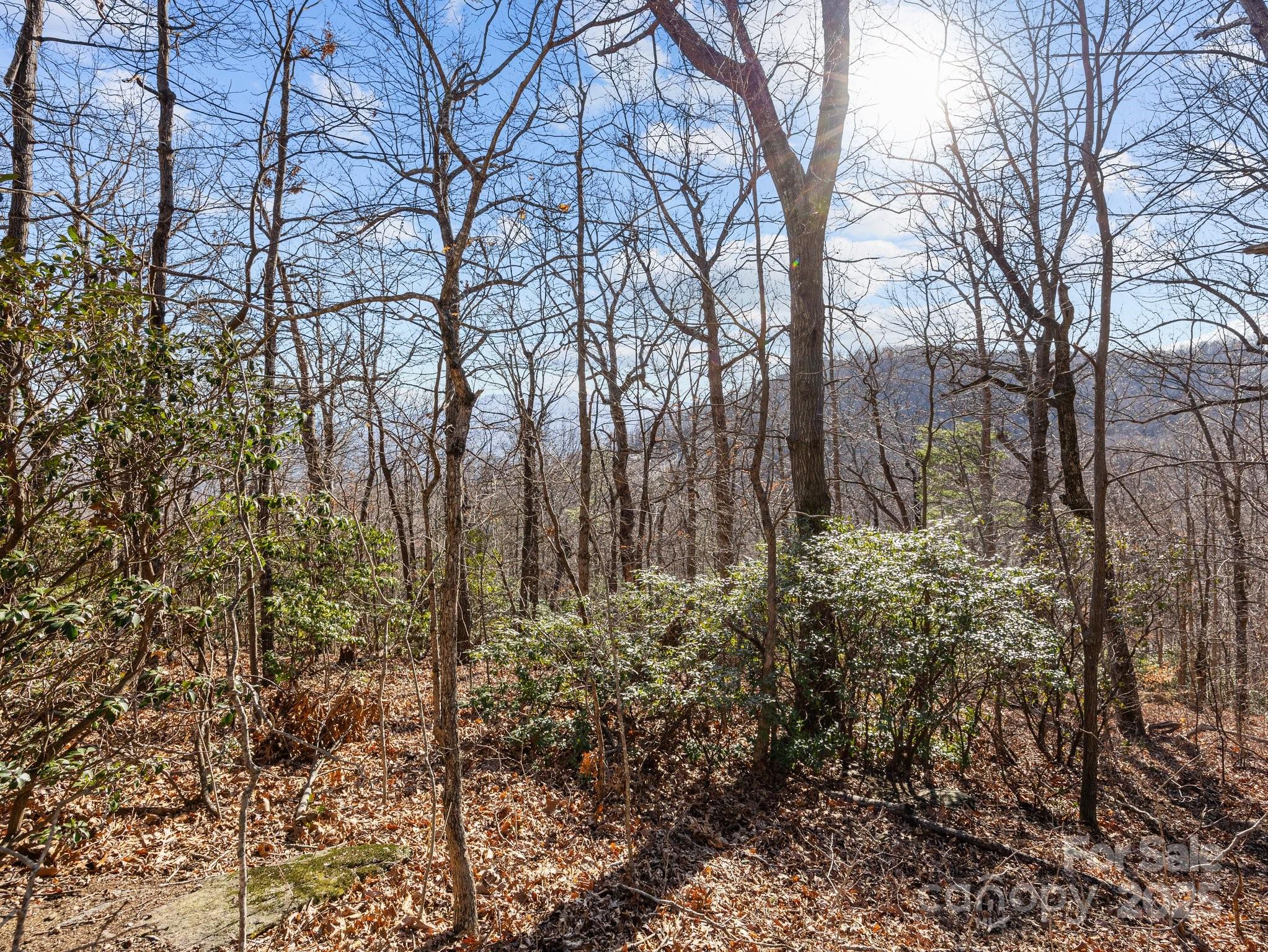 0 Morning Ride Drive, Unit 36 Columbus, NC 28722 - Photo 11 of 16