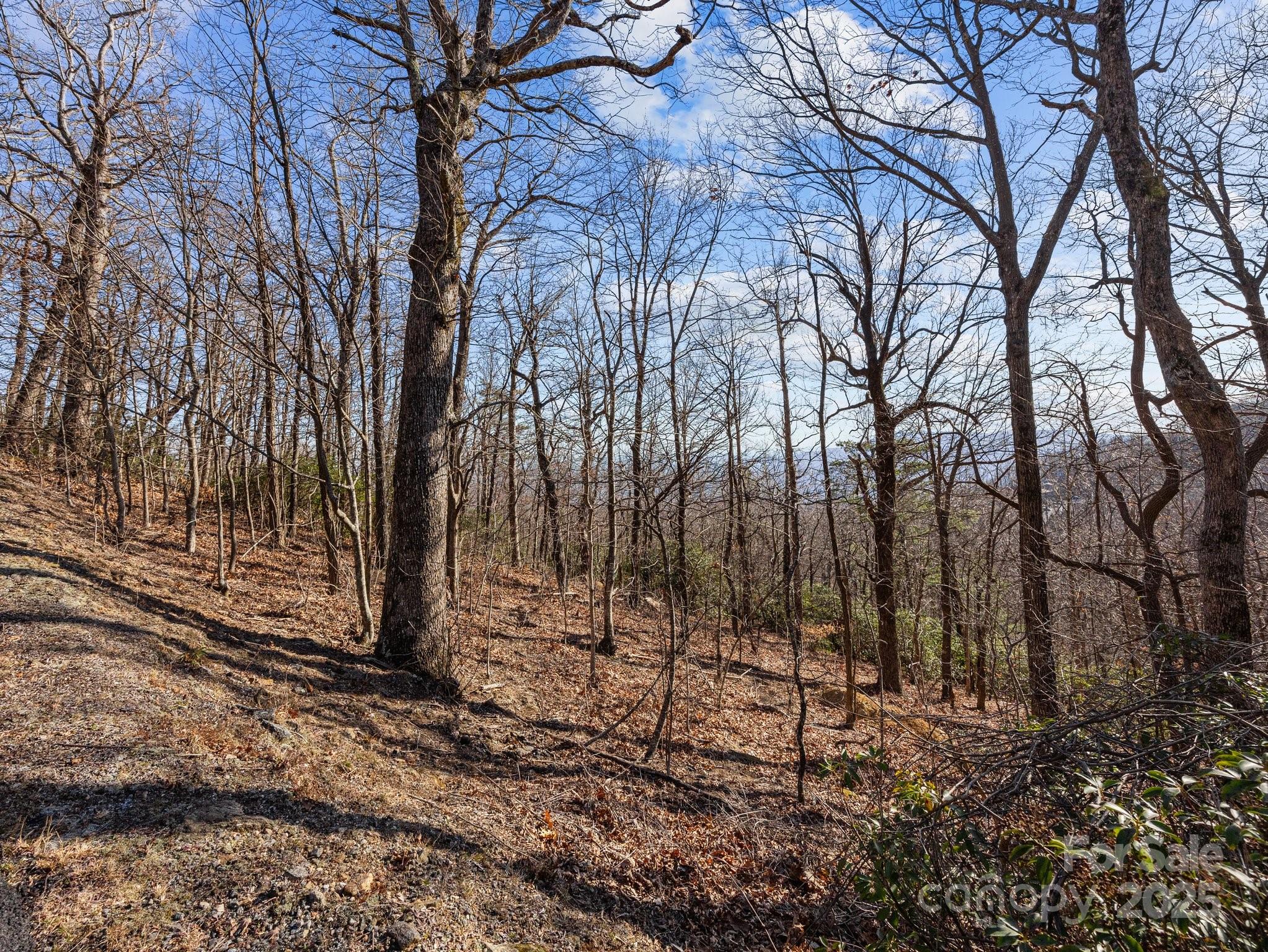 0 Morning Ride Drive, Unit 36 Columbus, NC 28722 - Photo 12 of 16