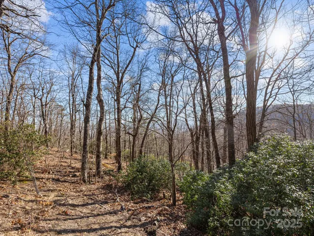 $40,000 | 0 Morning Ride Drive, Unit 36, Columbus, NC 28722