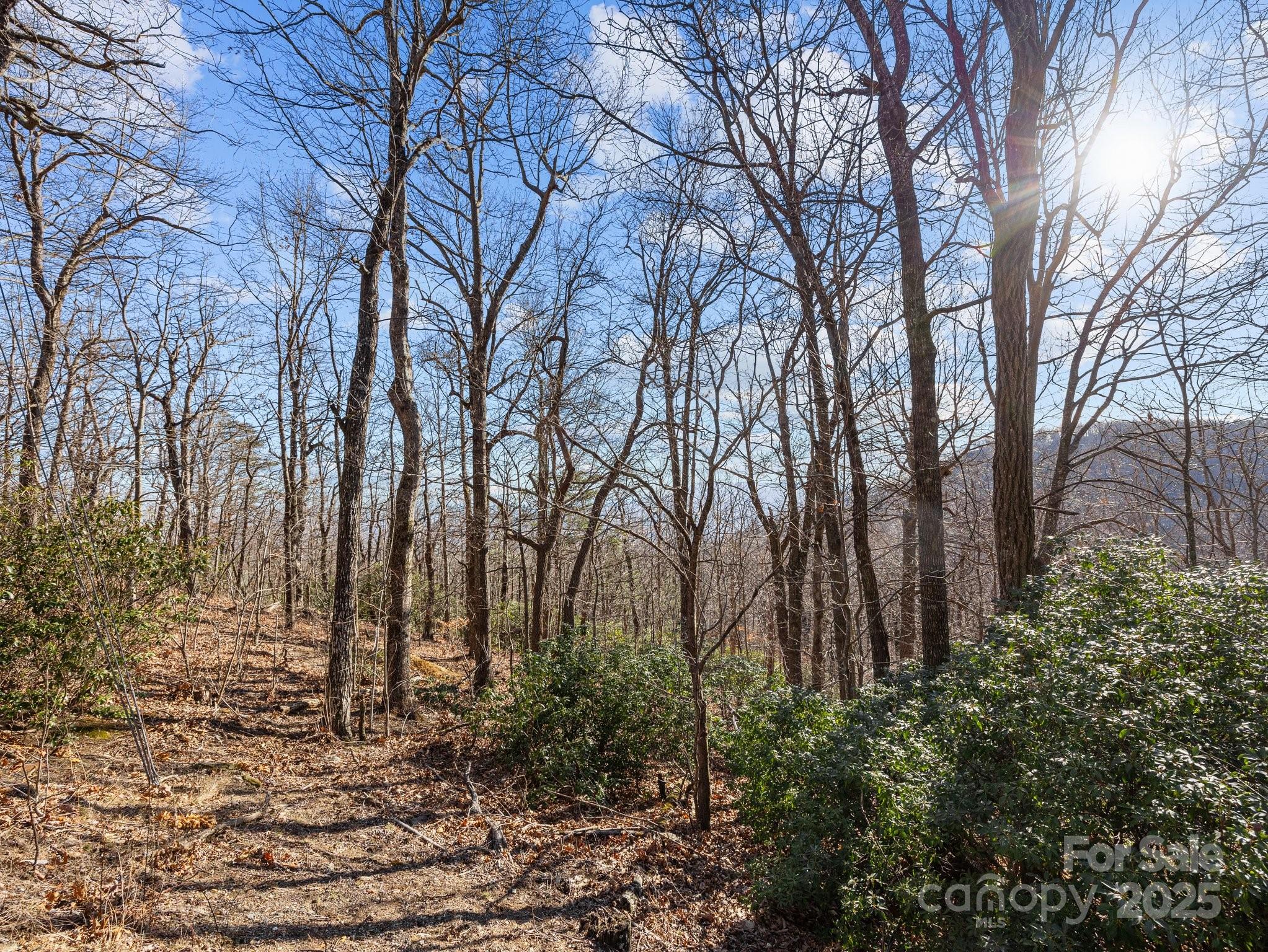 0 Morning Ride Drive, Unit 36 Columbus, NC 28722 - Photo 5 of 16