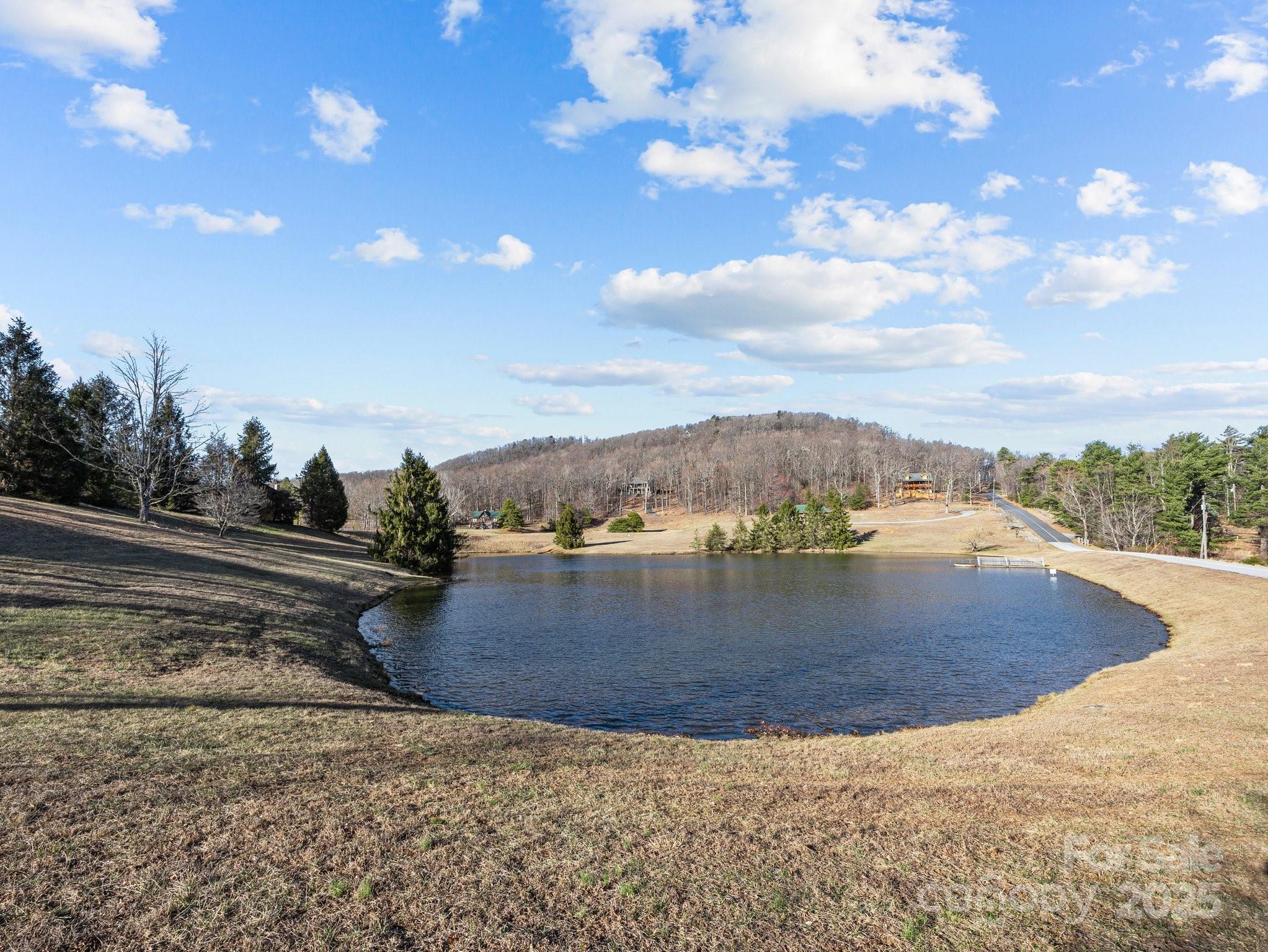0 Morning Ride Drive, Unit 36 Columbus, NC 28722 - Photo 6 of 16