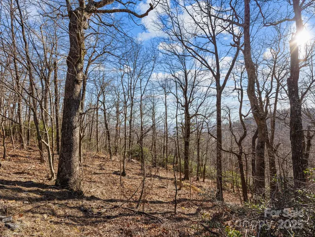 $40,000 | 0 Morning Ride Drive, Unit 36, Columbus, NC 28722