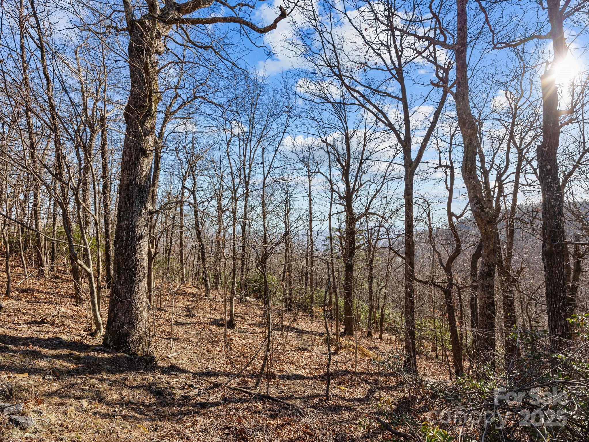 0 Morning Ride Drive, Unit 36 Columbus, NC 28722 - Photo 10 of 16