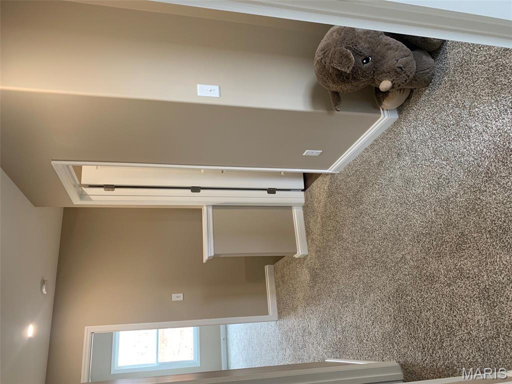 109 Peruque Creek Manor Wright City, MO 63390 - Photo 7 of 14