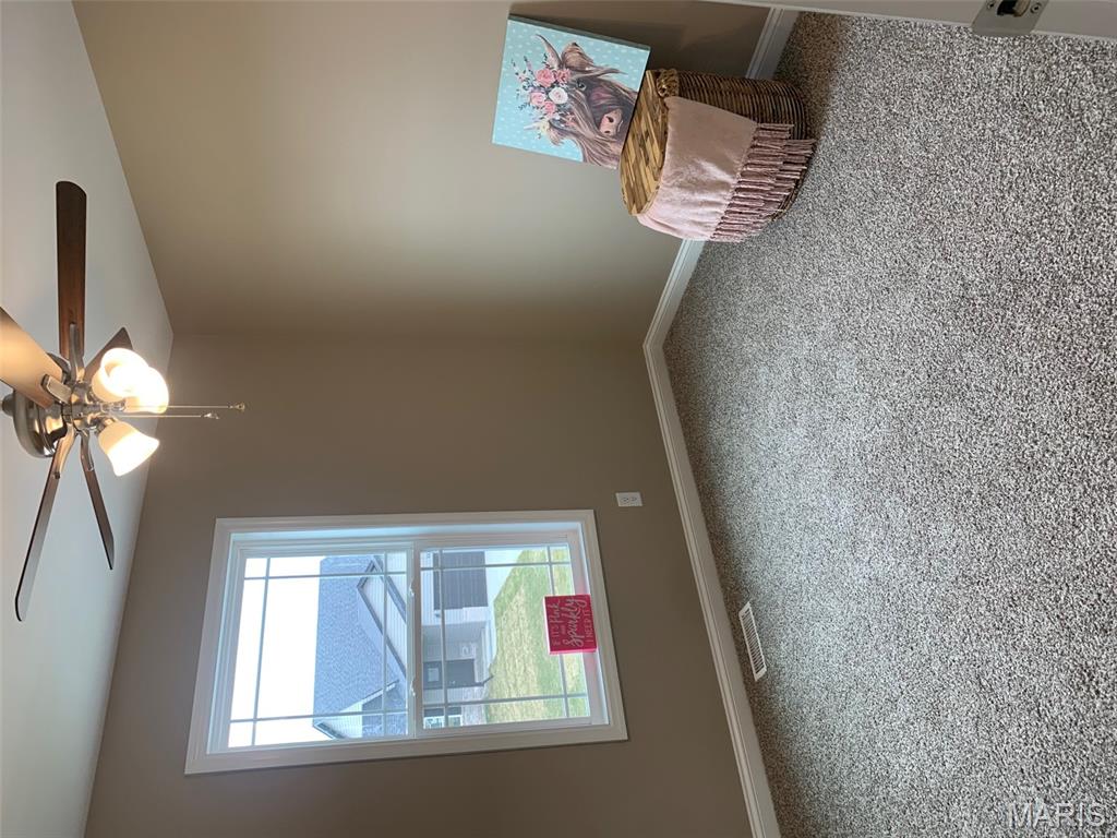 109 Peruque Creek Manor Wright City, MO 63390 - Photo 9 of 14