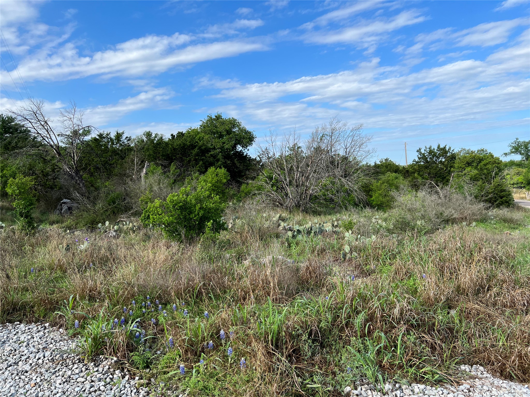 220 Rocky Road Marble Falls, TX 78654 - Photo 2 of 6 a view of a green field