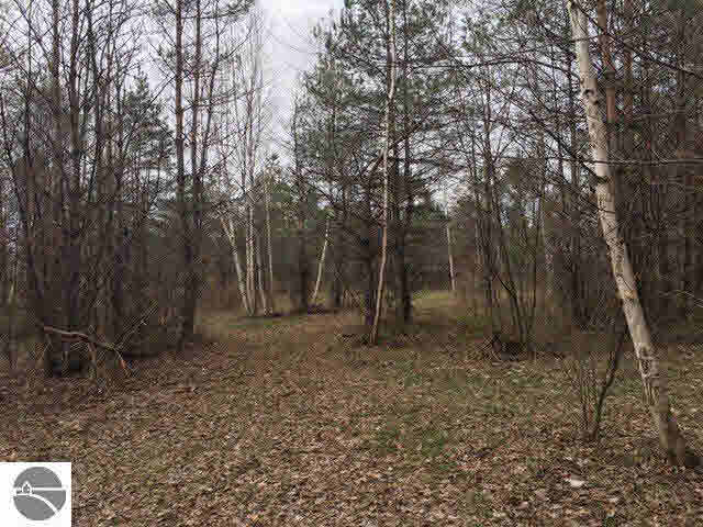 1925 North Black Road Twining, MI 48766 - Photo 6 of 8