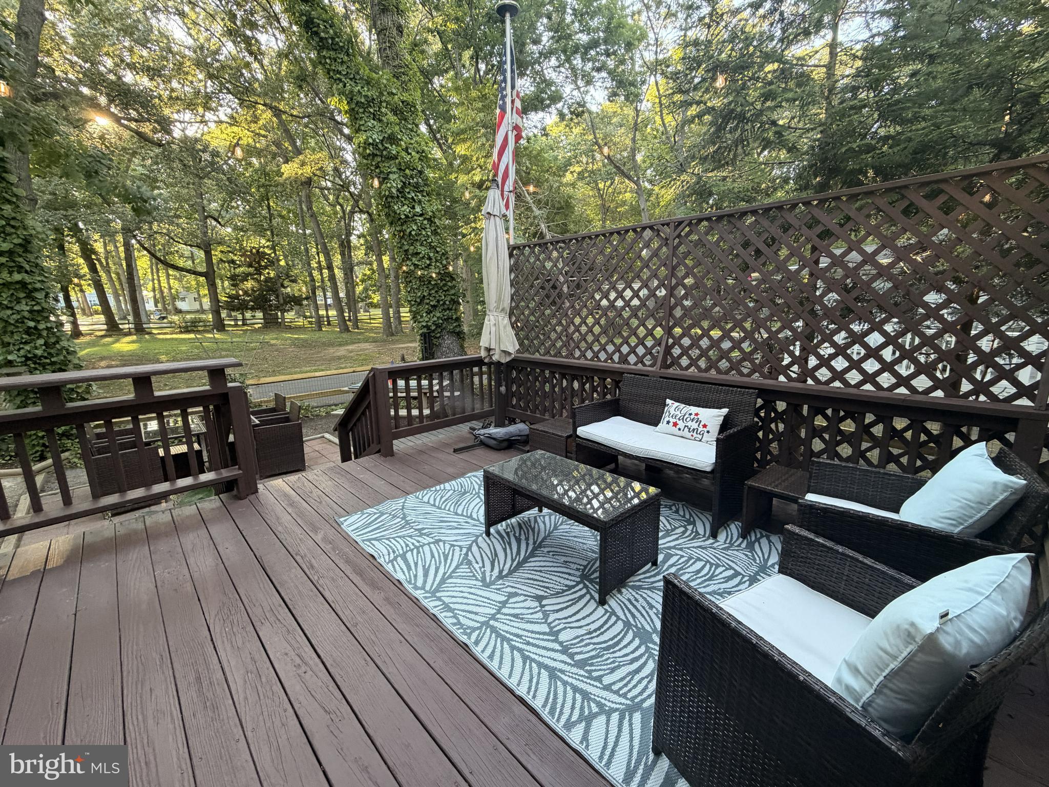 34403 Honeyspot Road Millsboro, DE 19966 - Photo 36 of 48 Ample sized back deck