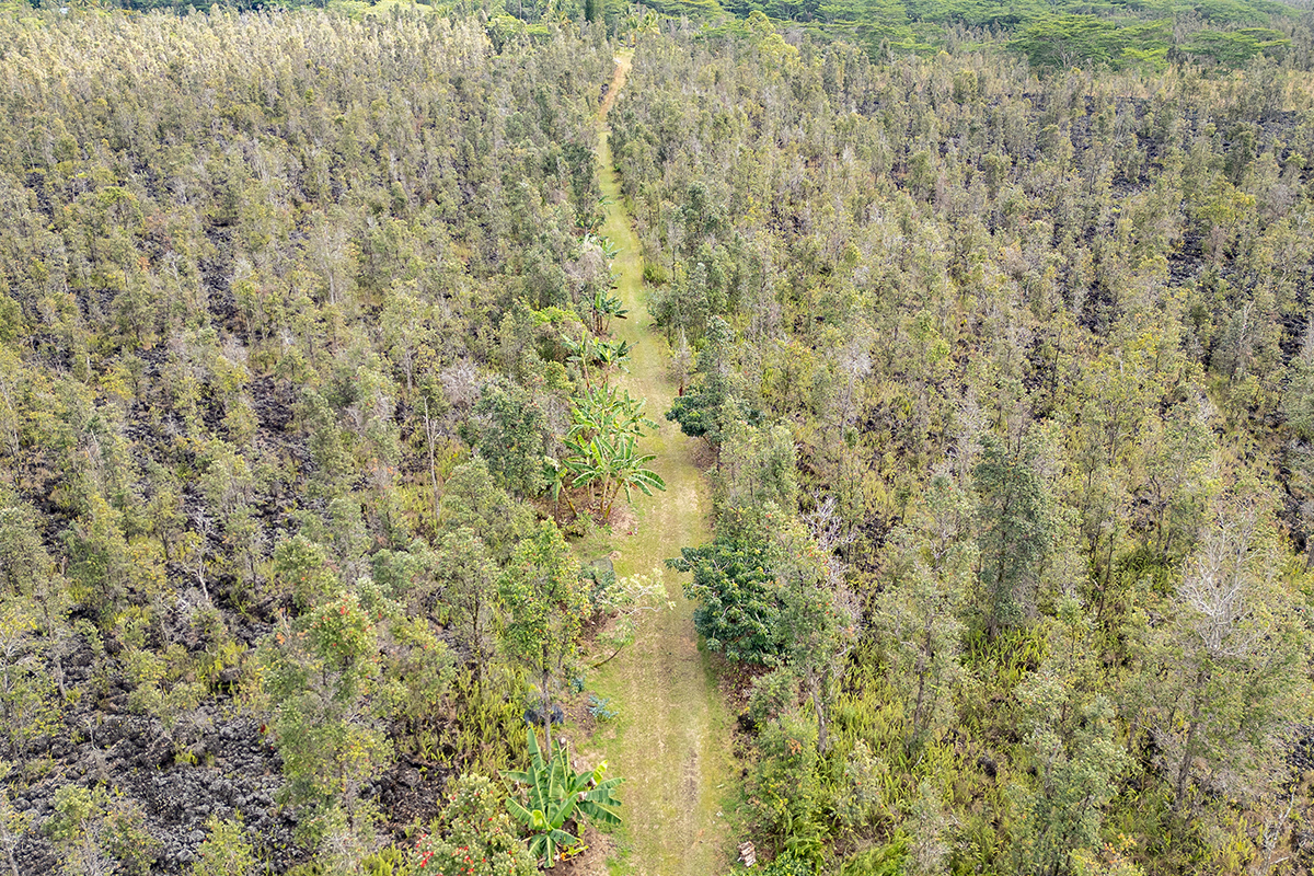 13-1037 Kamaili Road Pahoa, HI 96778 - Photo 16 of 24