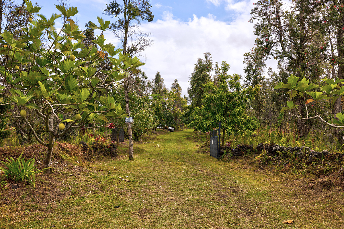 13-1037 Kamaili Road Pahoa, HI 96778 - Photo 19 of 24