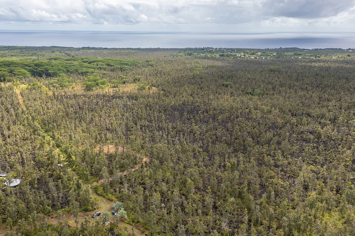 13-1037 Kamaili Road Pahoa, HI 96778 - Photo 9 of 24