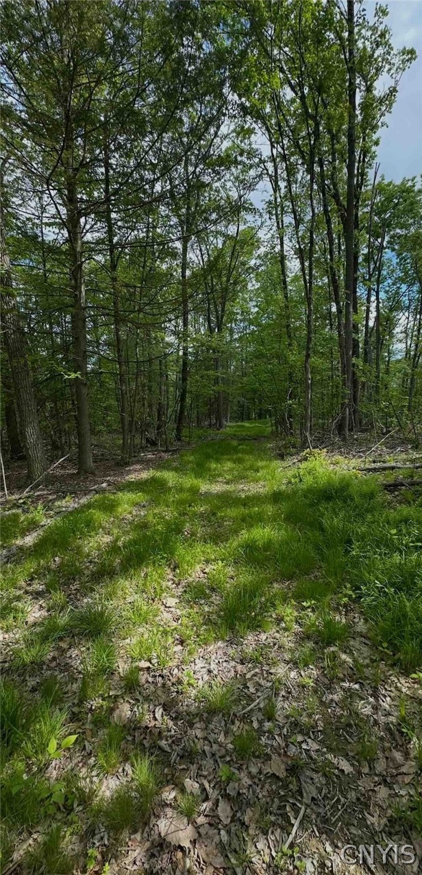 1501 Old State Road Colesville, NY 13833 - Photo 15 of 28