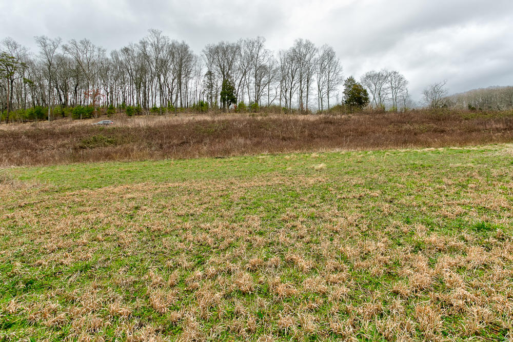 Level Building Lot
