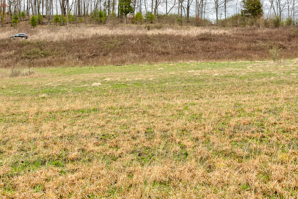 0 Espalier Drive, Unit 65 Decatur, TN 37322 - Photo 8 of 8 Perfect for your new home