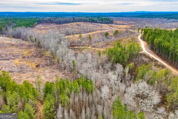 $205,000 | 1365 County Road 290, Muscadine, AL 36269