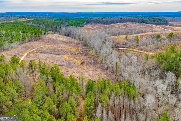 $205,000 | 1365 County Road 290, Muscadine, AL 36269